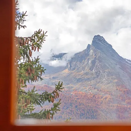 Lägenhet Piccolo Paradiso